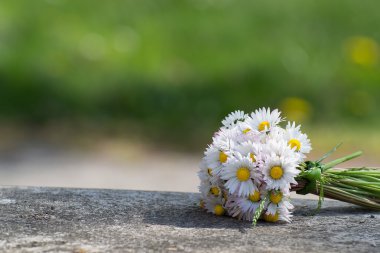 papatyalardan buket bahar içinde