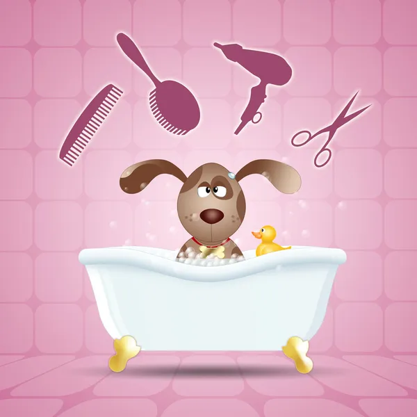 Perro en baño para aseo — Foto de Stock