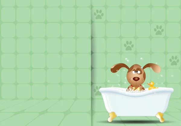 Hund in Badewanne pflegen — Stockfoto