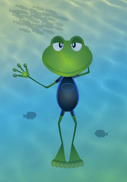 青蛙在夏季海 — 图库照片