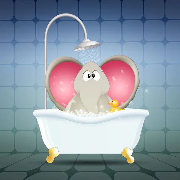 象管風呂します。 — ストック写真