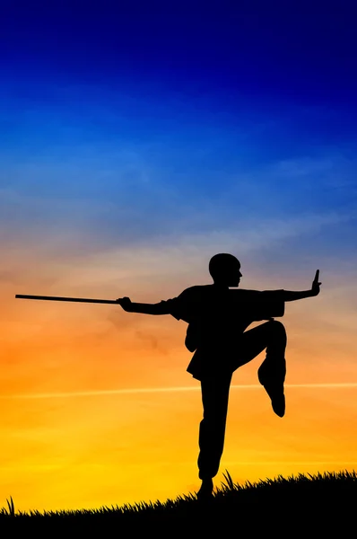 Shaolin pose at sunset — Stock Photo, Image