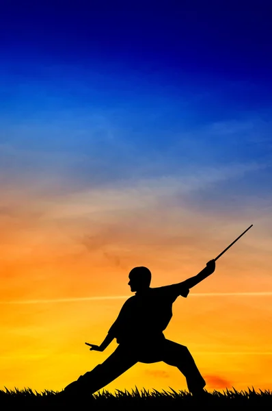 Shaolin pose at sunset — Stock Photo, Image