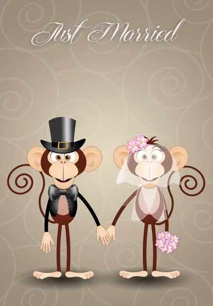 Dois macacos acabaram de se casar. — Fotografia de Stock