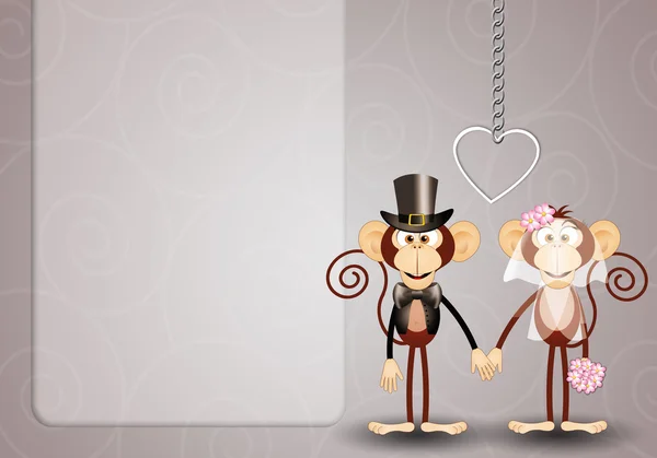 Dois macacos acabaram de se casar. — Fotografia de Stock