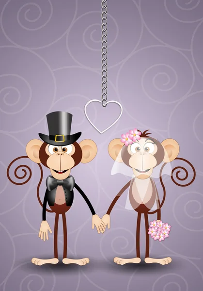 A couple of monkeys just married — Stock Photo, Image