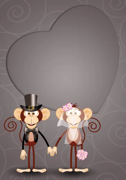A couple of monkeys just married — Stock Photo, Image
