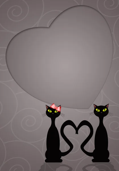 사랑하는 고양이 두 마리 — 스톡 사진