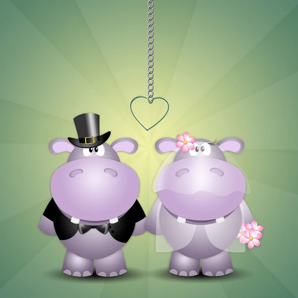 A couple of hippos spouses — Stock Photo, Image