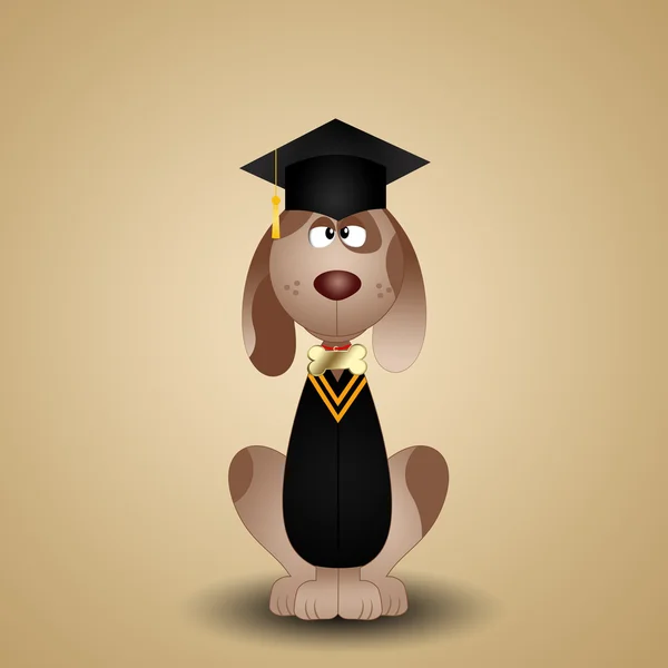 Dog graduate — Stock Photo, Image