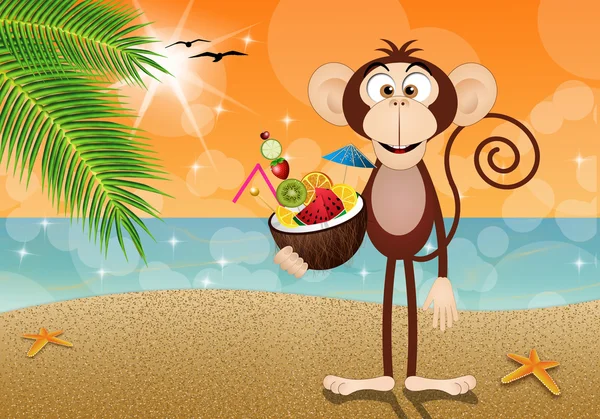 Monkey with coconut — Stock Photo, Image