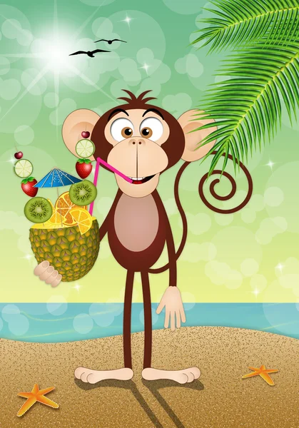 Macaco com abacaxi na praia — Fotografia de Stock