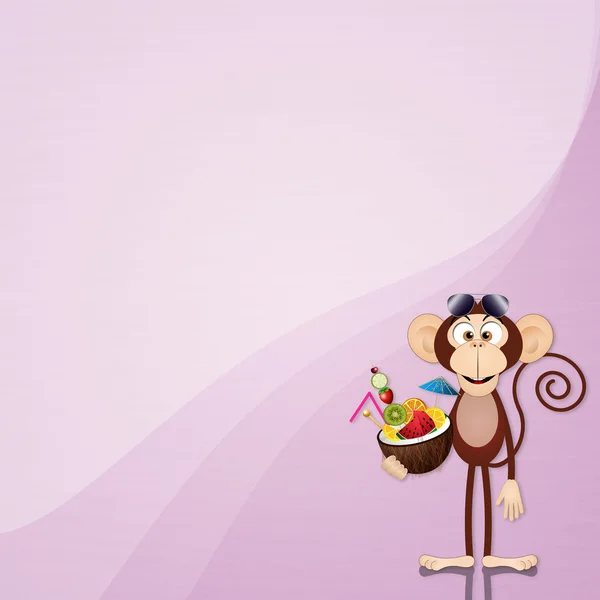 코코넛과 웃 긴 원숭이 — 스톡 사진