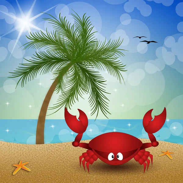 Funny crab on the beach — Stock Photo, Image