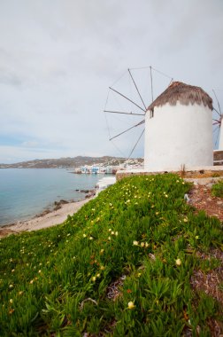 mykonos City yel değirmenleri