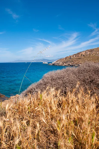 Kapari Plaży Mykonos Grecja — Zdjęcie stockowe