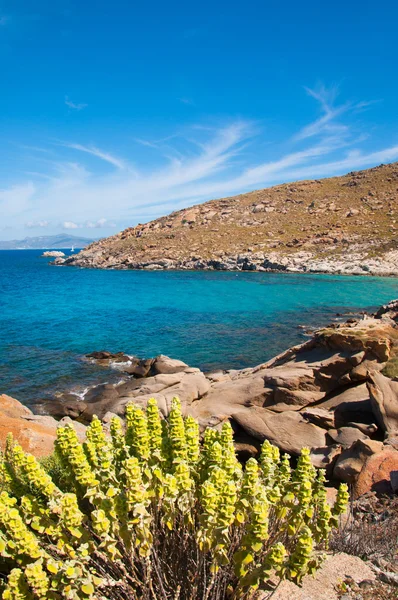 Kapari beach in Mykonos — Stock Photo, Image