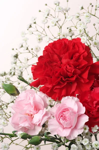 赤とピンクのカーネーションの花束。(垂直) — ストック写真