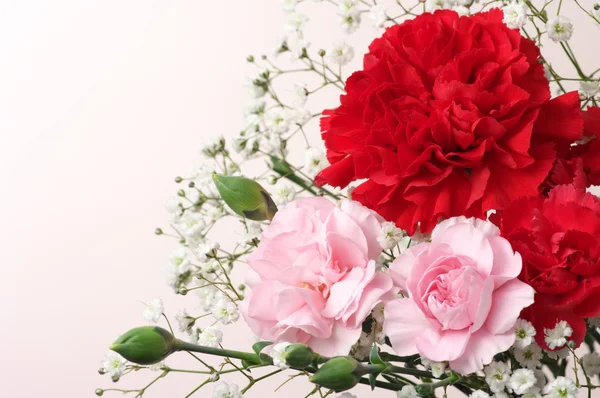 赤とピンクのカーネーションの花束。(水平) — ストック写真