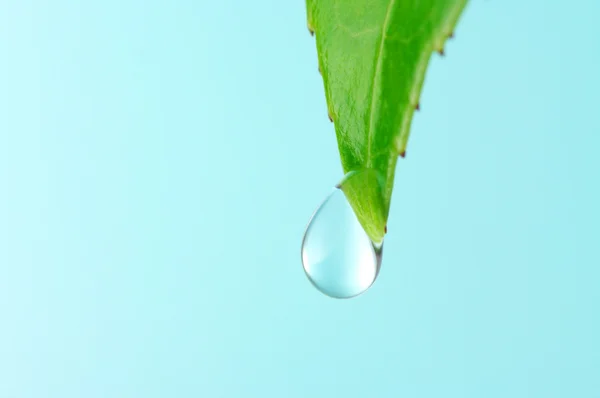 Detailní záběr kapky vody. — Stock fotografie