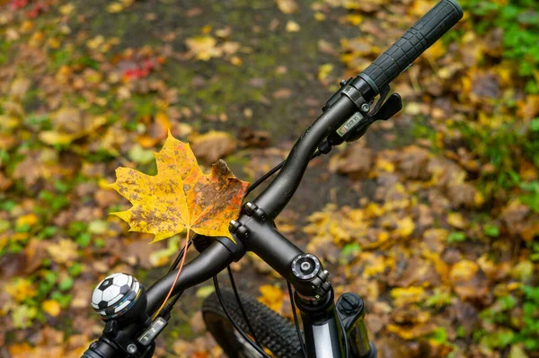a maple leaf on a bike handlebar, outdoor closeup image