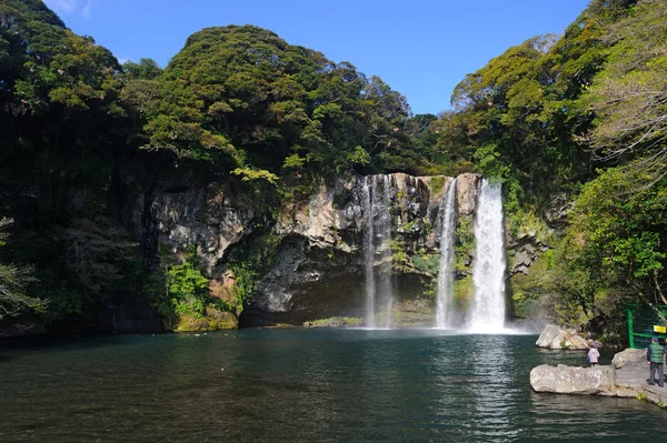 Cheonjiyeon-Wasserfall — Stockfoto