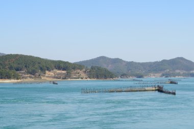 Deniz suyuyla ançüez avlamak için Kore Geleneksel Metodu