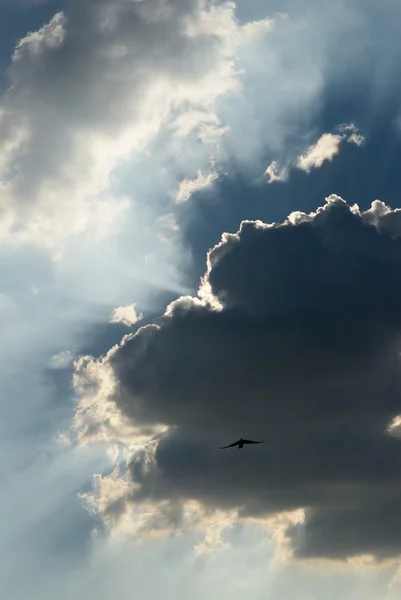 Impressive cloud — Stock Photo, Image