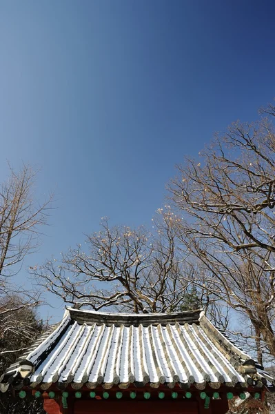 平铺的屋顶和晴朗的天空 — 图库照片