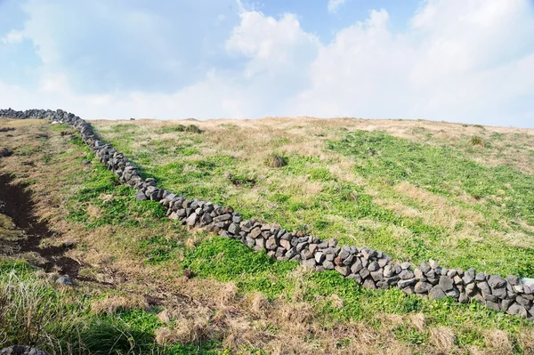 Традиционная каменная стена острова Чеджу, Корея — стоковое фото