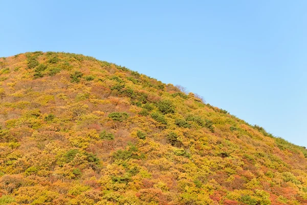 Montaña de colores por follajes en otoño — Foto de Stock