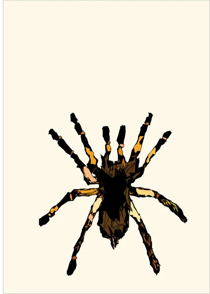 Spider — Stock Vector