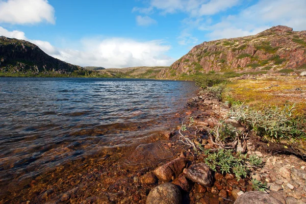Mountain Lake på kysten af Barents Sea - Stock-foto