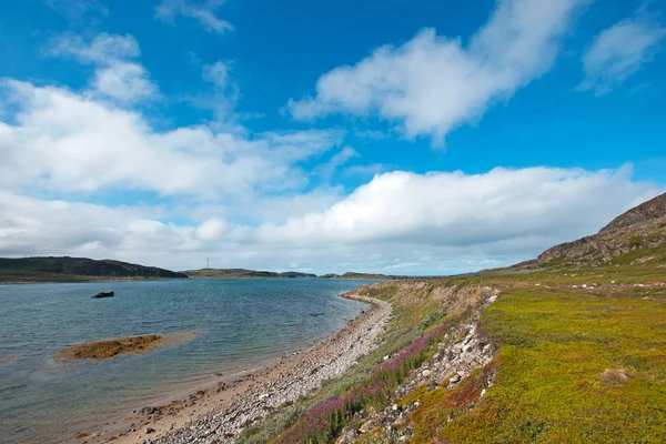 Schöne arktische Sommerlandschaft mit Bucht. Barentssee — Stockfoto