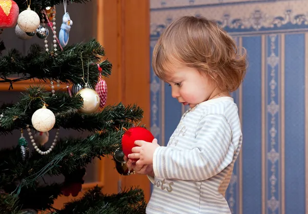 O menino com uma árvore de Natal — Fotografia de Stock