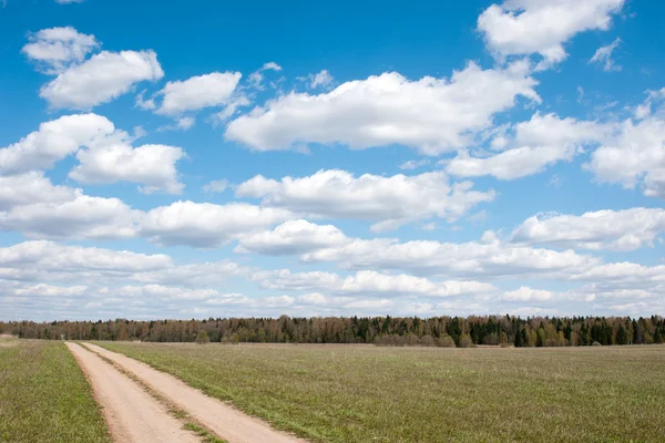 alanı görüntüleme