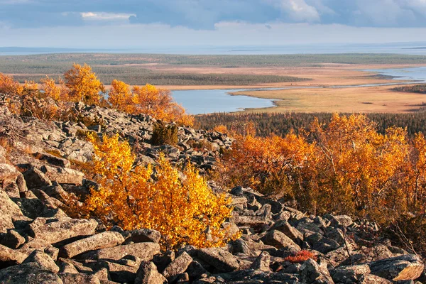 Vista desde la cima de una montaña sobre el paisaje de Laponia en otoño — Foto de Stock