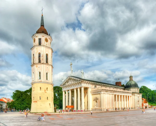 Vilnius katedral Stockbild