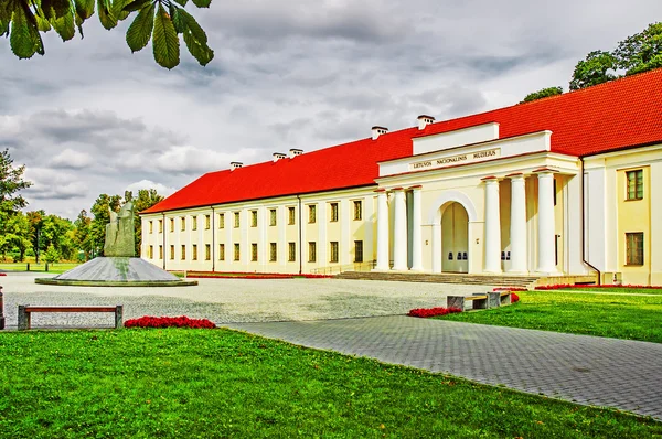 Nationella museum Litauen Stockbild