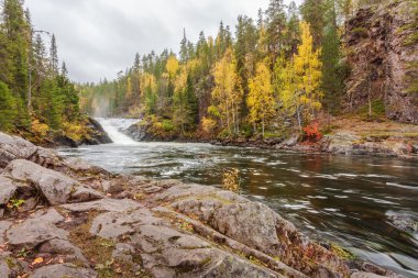 Flowing Lapland mountain river in autumn clipart