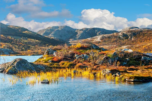 挪威的山区景观 免版税图库图片