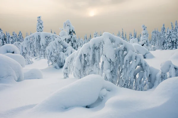 Journée d'hiver paisible — Photo