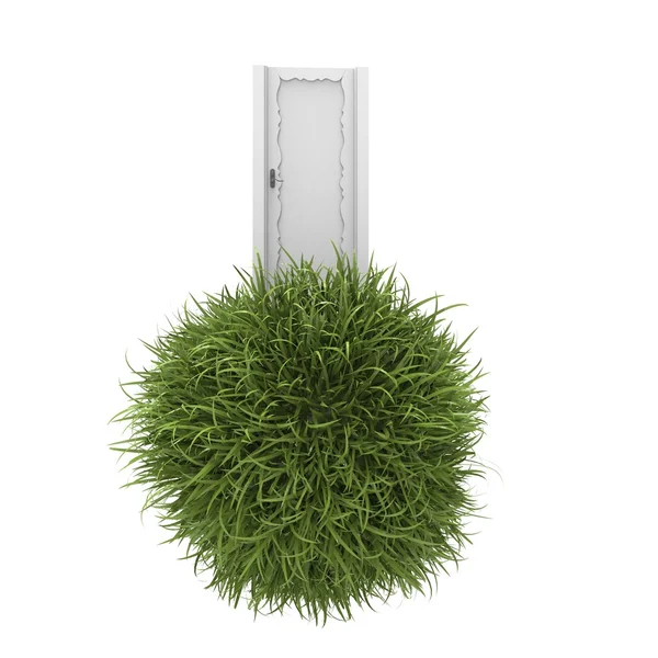 Grass door — Stock Photo, Image