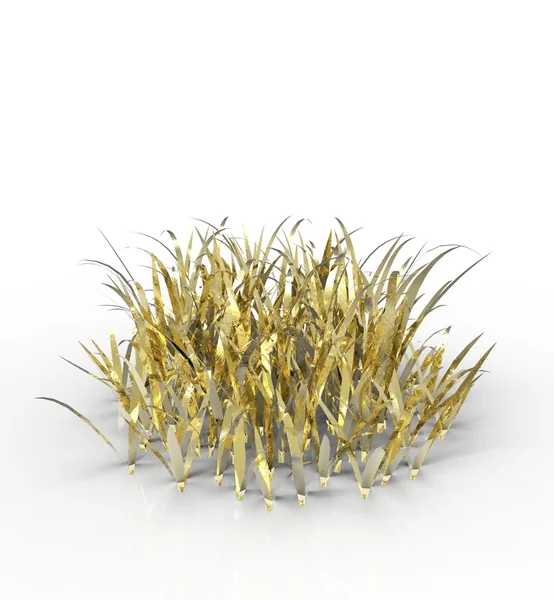 Grass — Stock Photo, Image