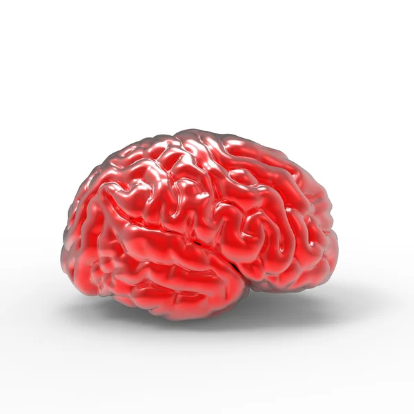 Modèle 3D du cerveau humain, isolé — Photo