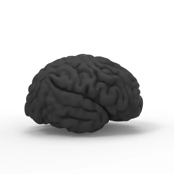 Modèle 3D du cerveau humain, isolé — Photo