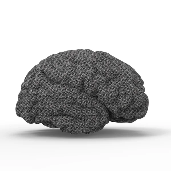 Modèle 3D du cerveau humain, isolé — Photo