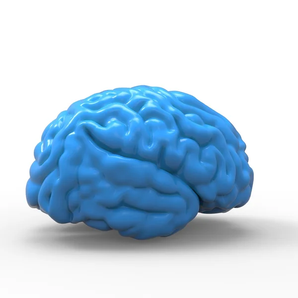Modèle 3D du cerveau humain, isolé — Photo