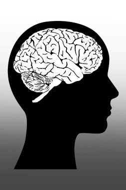 insan zekası veya psikoloji