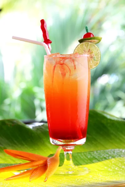 Tropical cocktail with fresh fruits — Stock Photo, Image